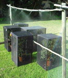 agua para jaulas de camaleones pulverizadas